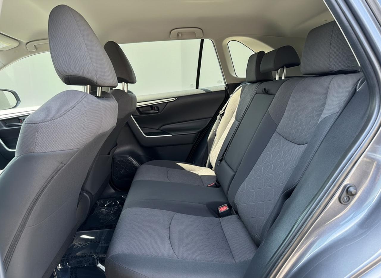 2019 Toyota RAV4 LE Photo