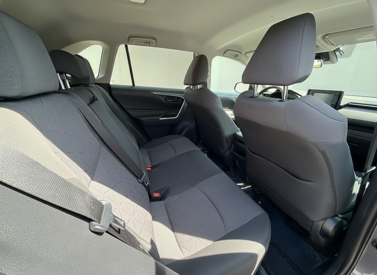 2019 Toyota RAV4 LE Photo