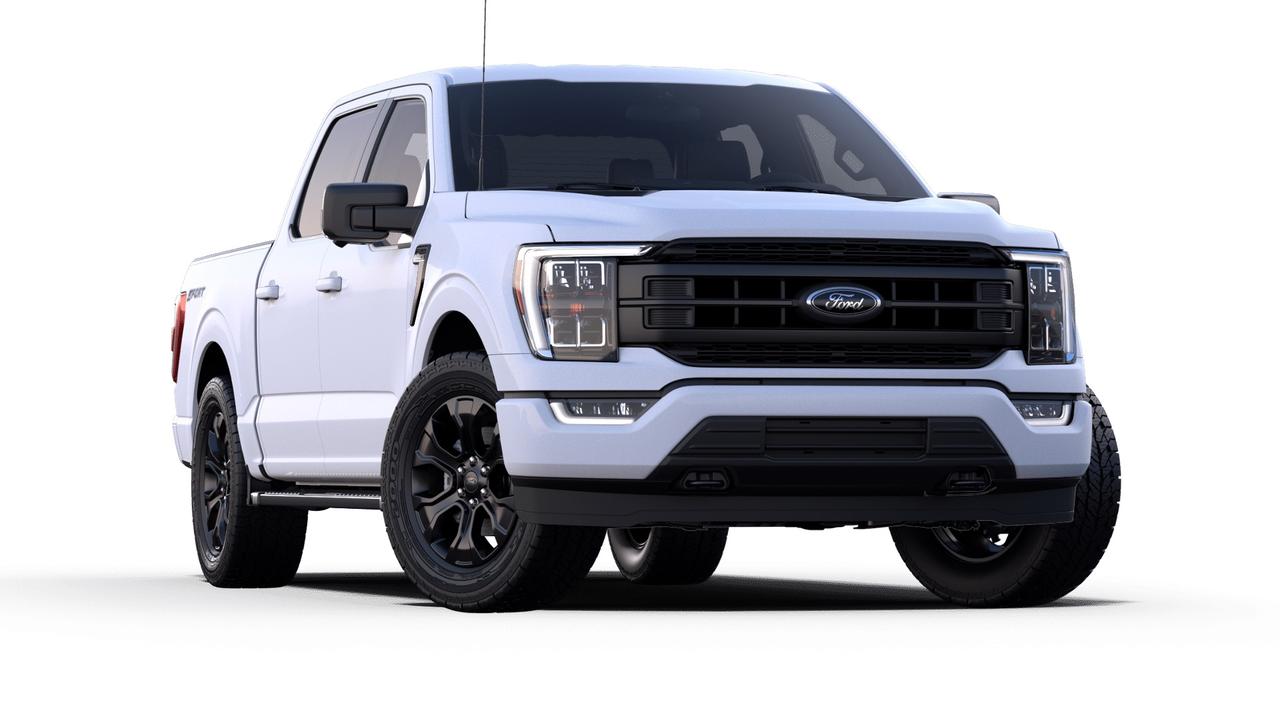 2023 Ford F-150 XLT 4WD SuperCrew 5.5' Box Photo3