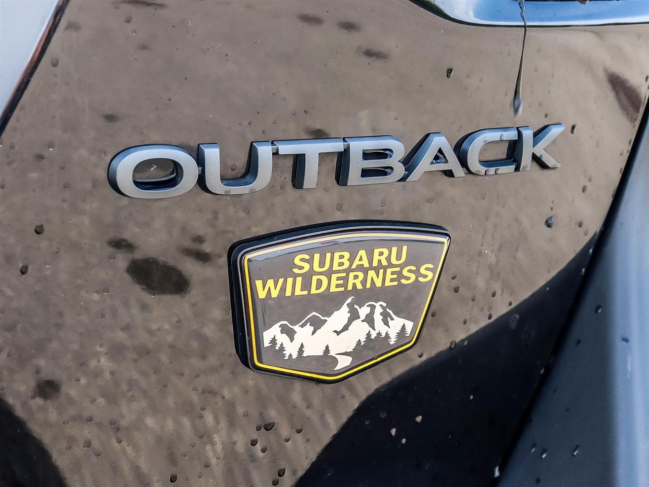 2024 Subaru Outback WILDERNESS Photo