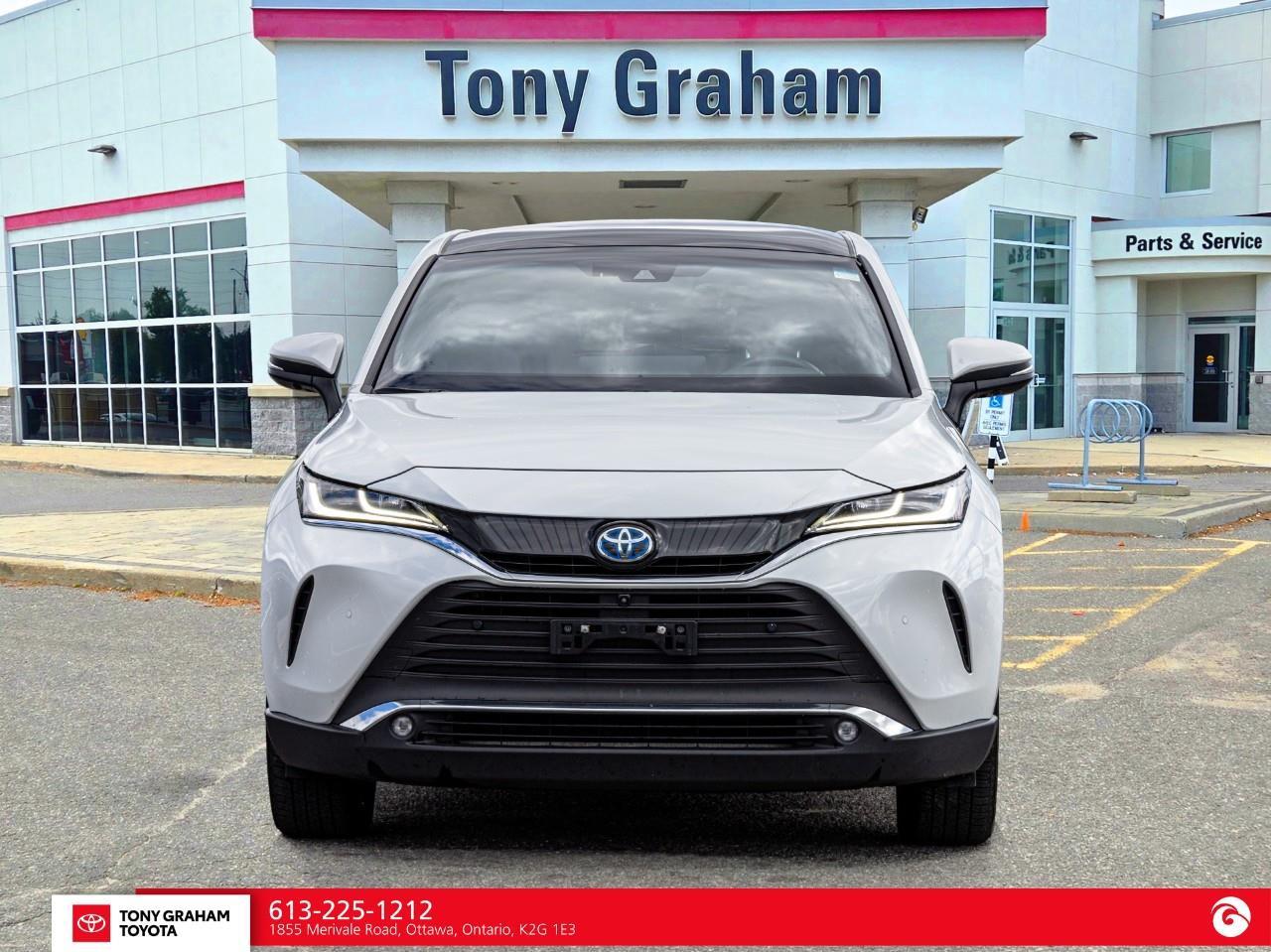 2023 Toyota Venza LIMITED Photo5