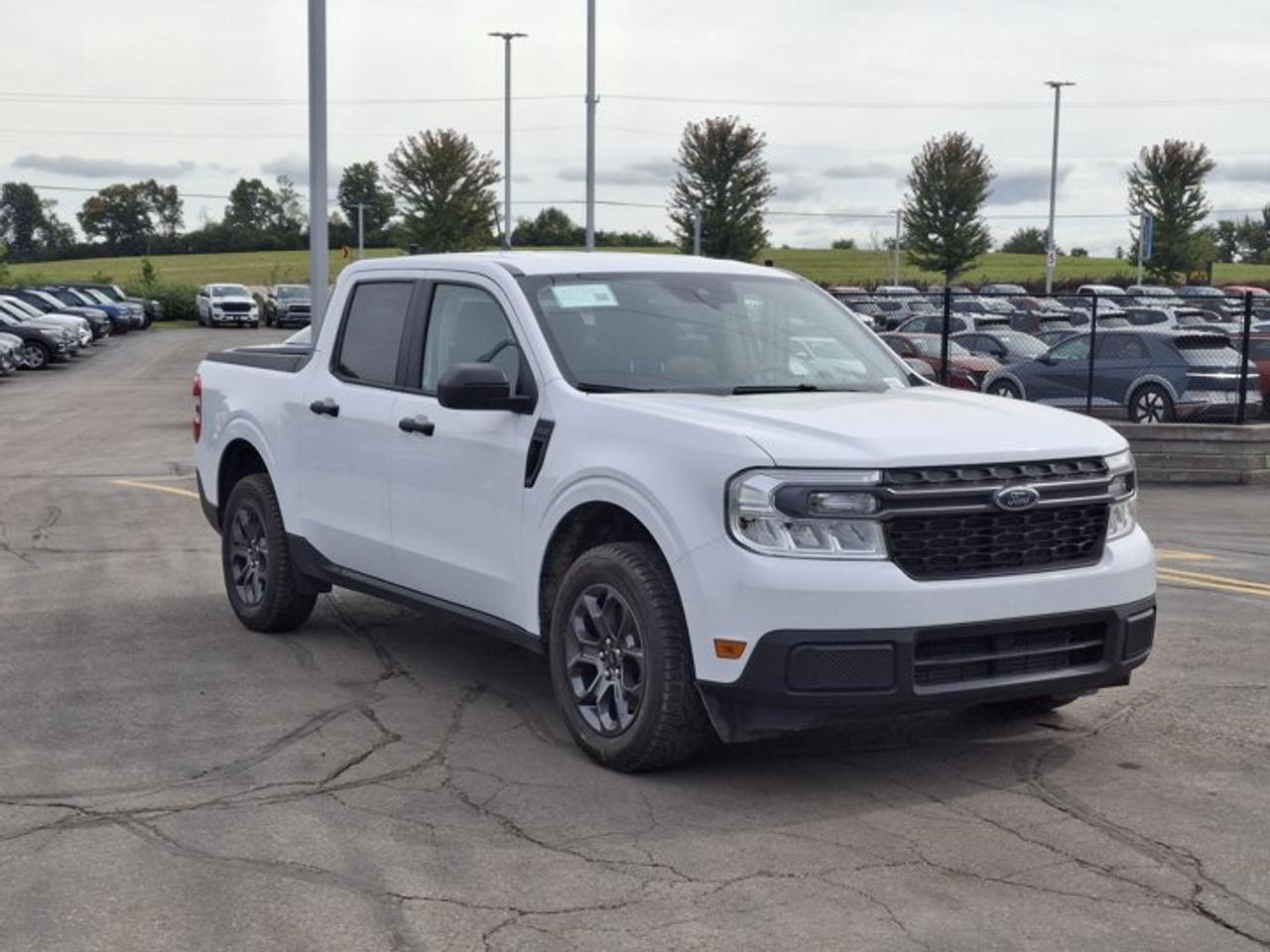 2024 Ford Maverick XLT AWD | Spray in Bedliner | Pre-Collision Assist | Cruise Control | Apple CarPlay and More ! Photo