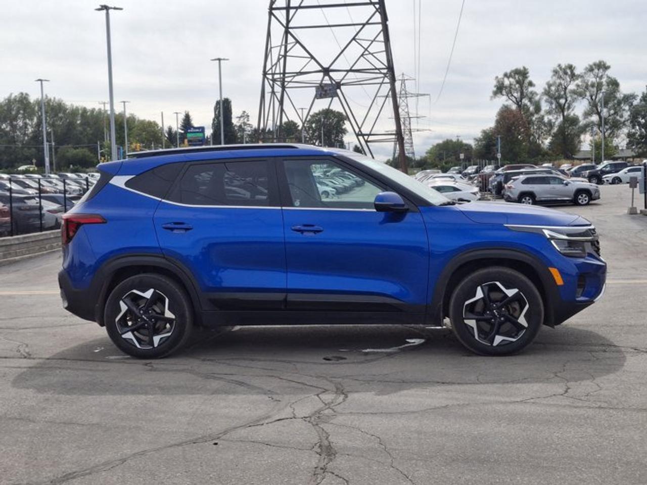 2024 Kia Seltos EX Premium AWD | Leather | Sunroof | Heated + Ventilated Seats | Heated Steering | CarPlay & More ! Photo