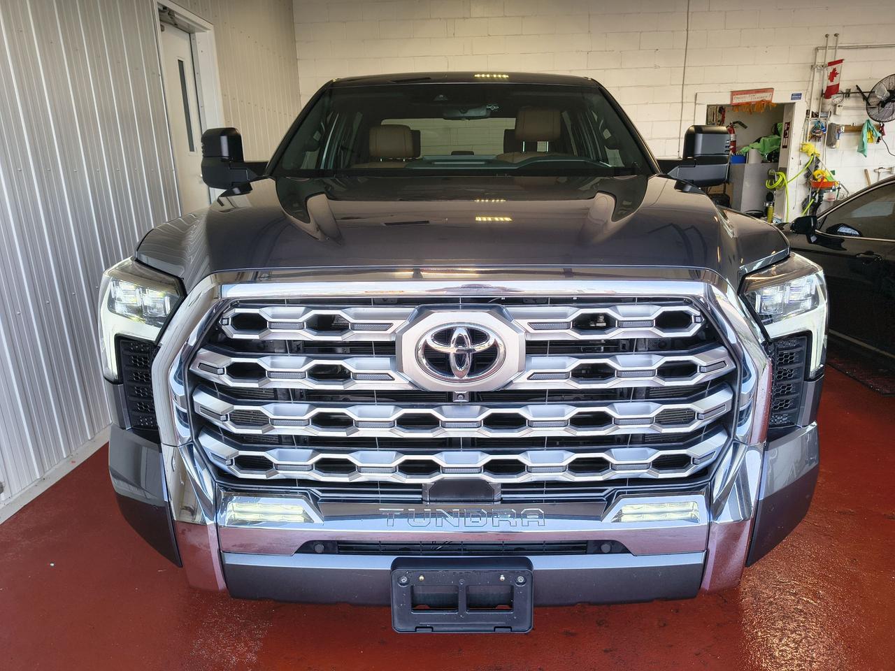 2024 Toyota Tundra PLATINUM 1794 Photo0