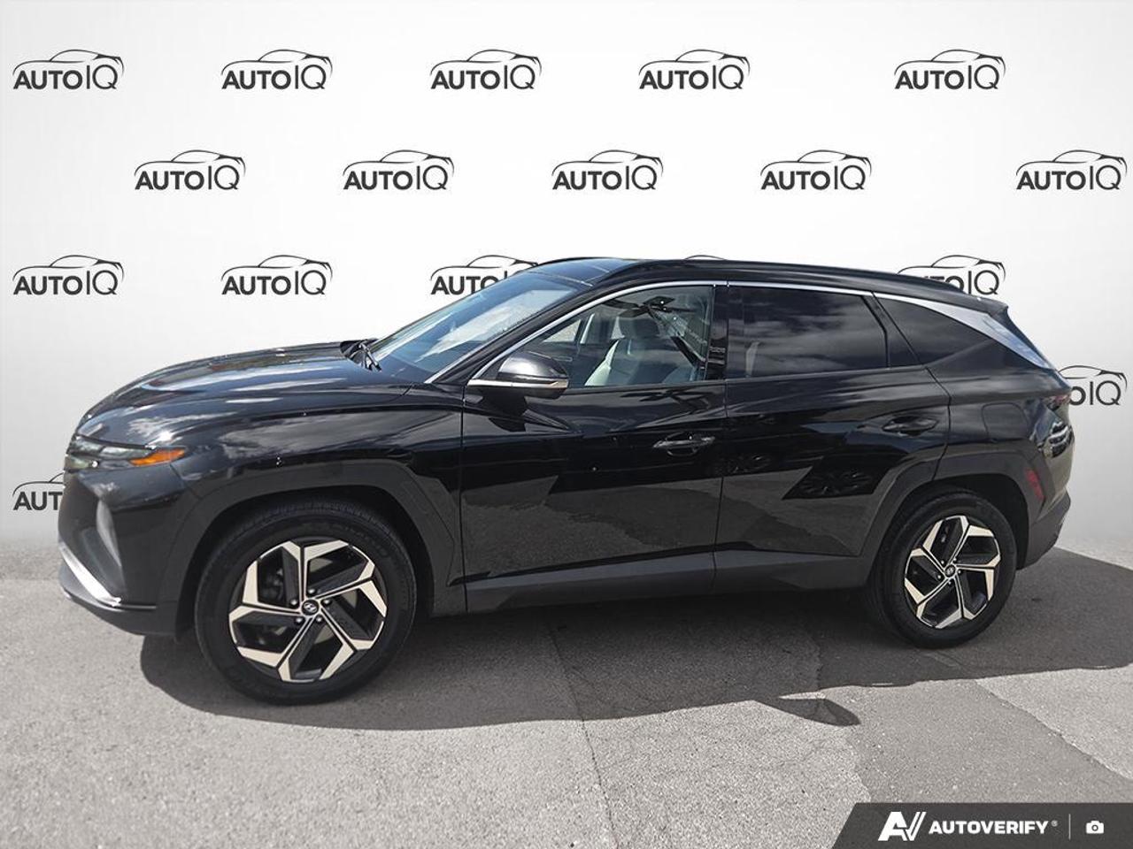 2023 Hyundai Tucson Hybrid Ultimate MOONROOF | ONE OWNER | LIGHT INTEIOR Photo