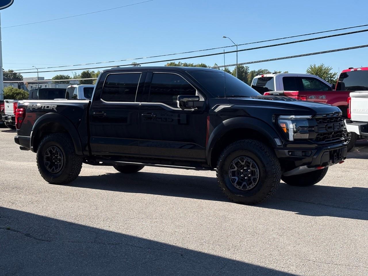 2025 Ford F-150 Raptor 4WD SuperCrew 5.5' Box Photo