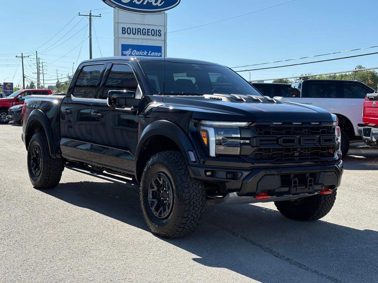 2025 Ford F-150 Raptor 4WD SuperCrew 5.5' Box Photo
