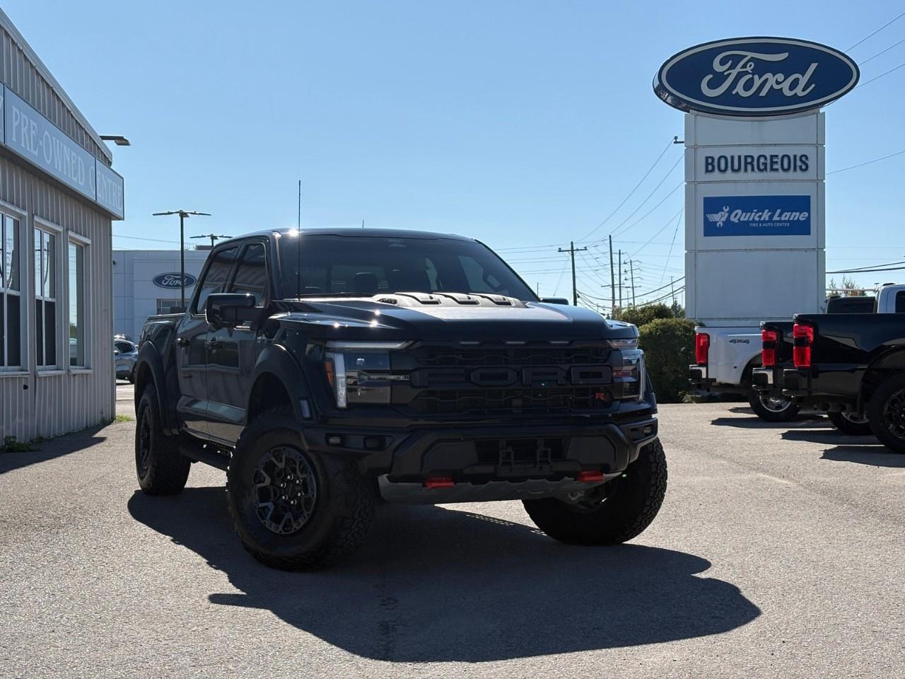 2025 Ford F-150 Raptor 4WD SuperCrew 5.5' Box Photo0