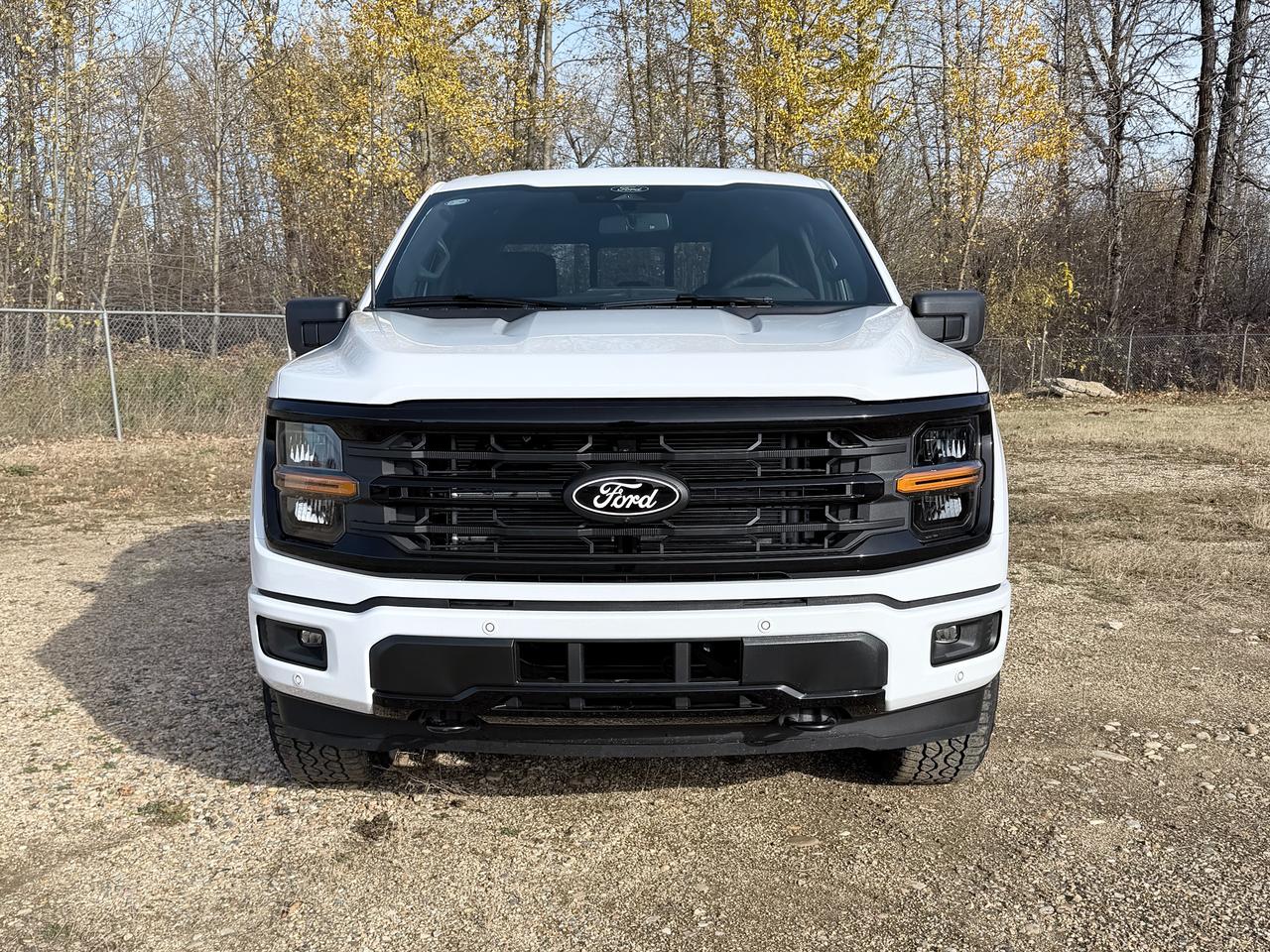 2026 Ford F-150 XLT Photo2