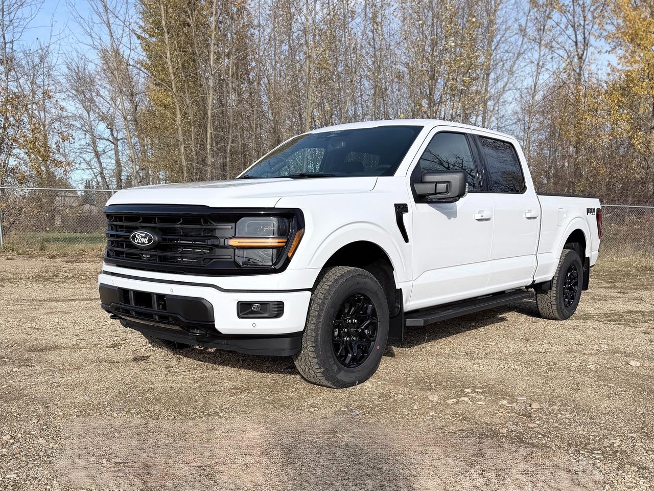 2026 Ford F-150 XLT Photo0