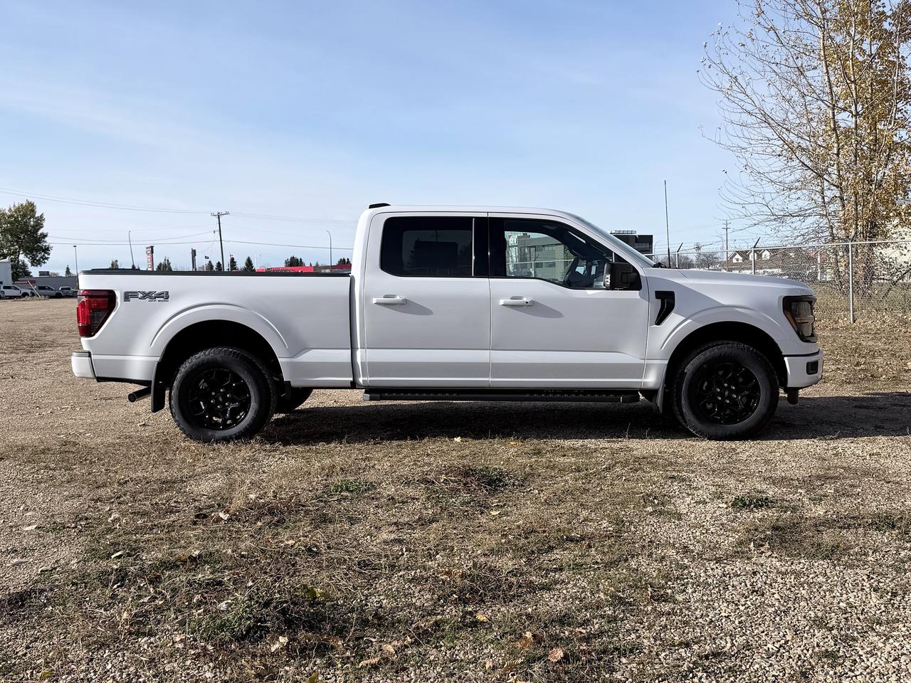 2026 Ford F-150 XLT Photo3
