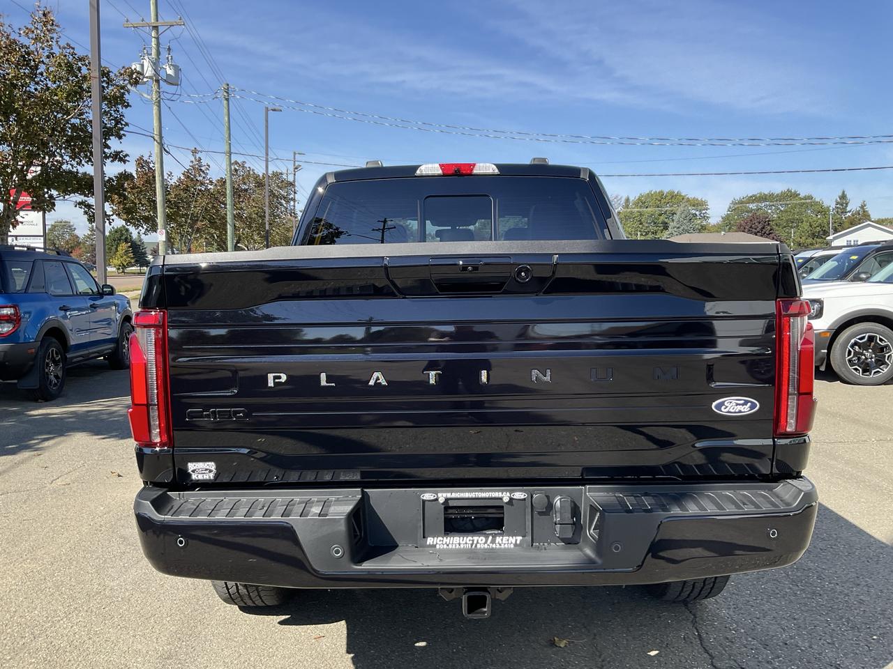 2026 Ford F-150 Platinum Photo3