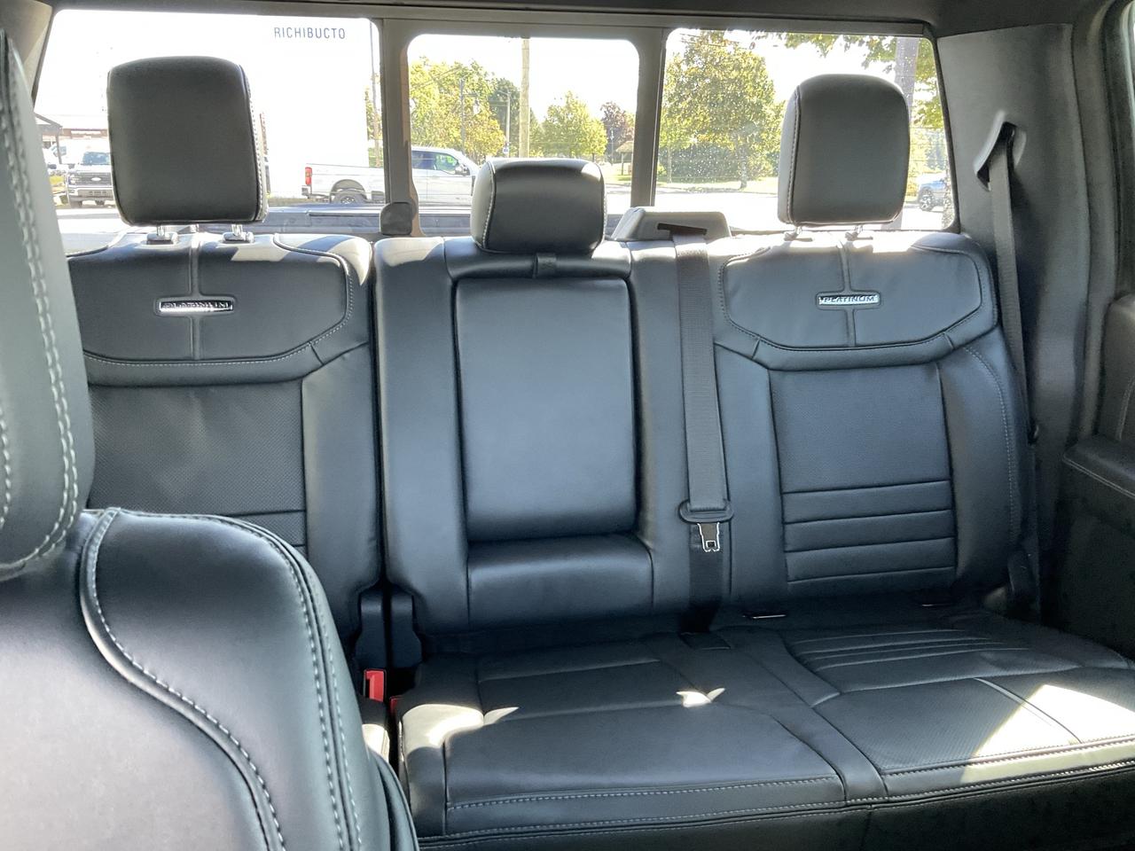 2026 Ford F-150 Platinum Photo4