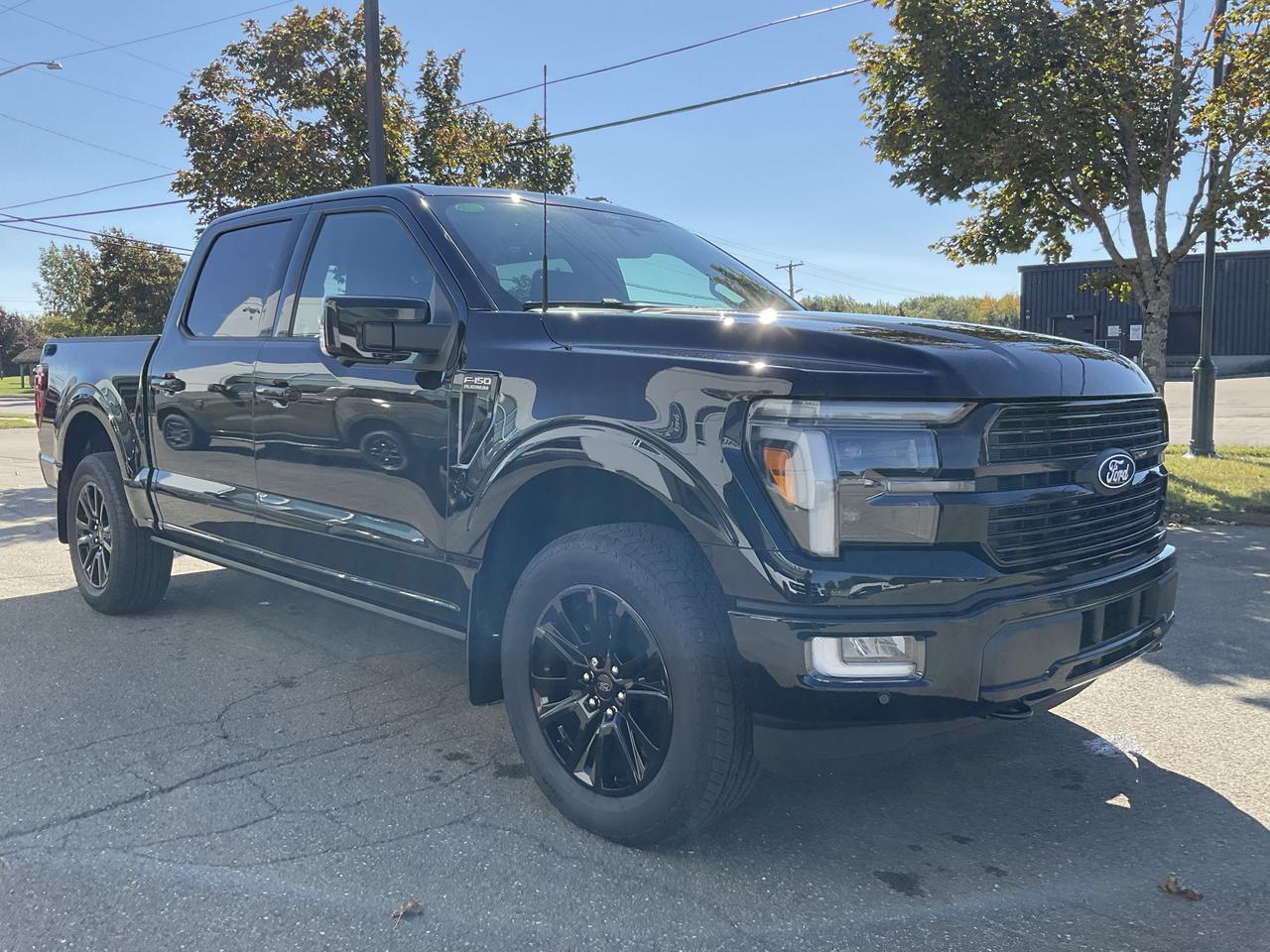2026 Ford F-150 Platinum Photo1