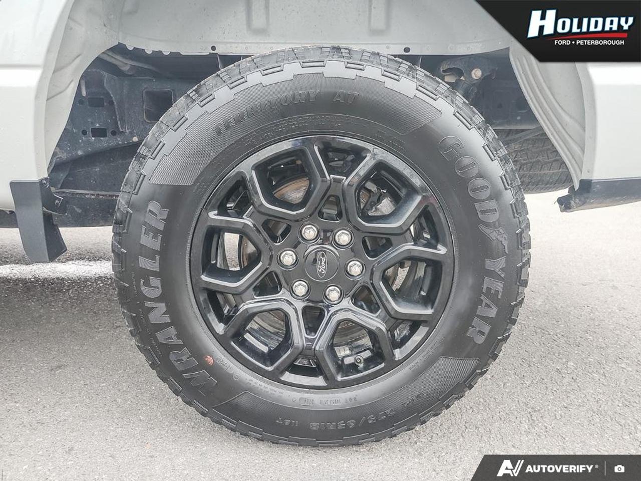 2024 Ford F-150 XLT Photo