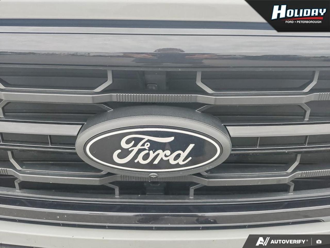 2024 Ford F-150 XLT Photo