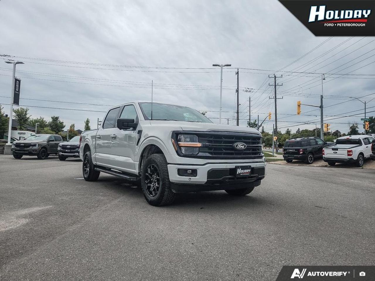 2024 Ford F-150 XLT Photo
