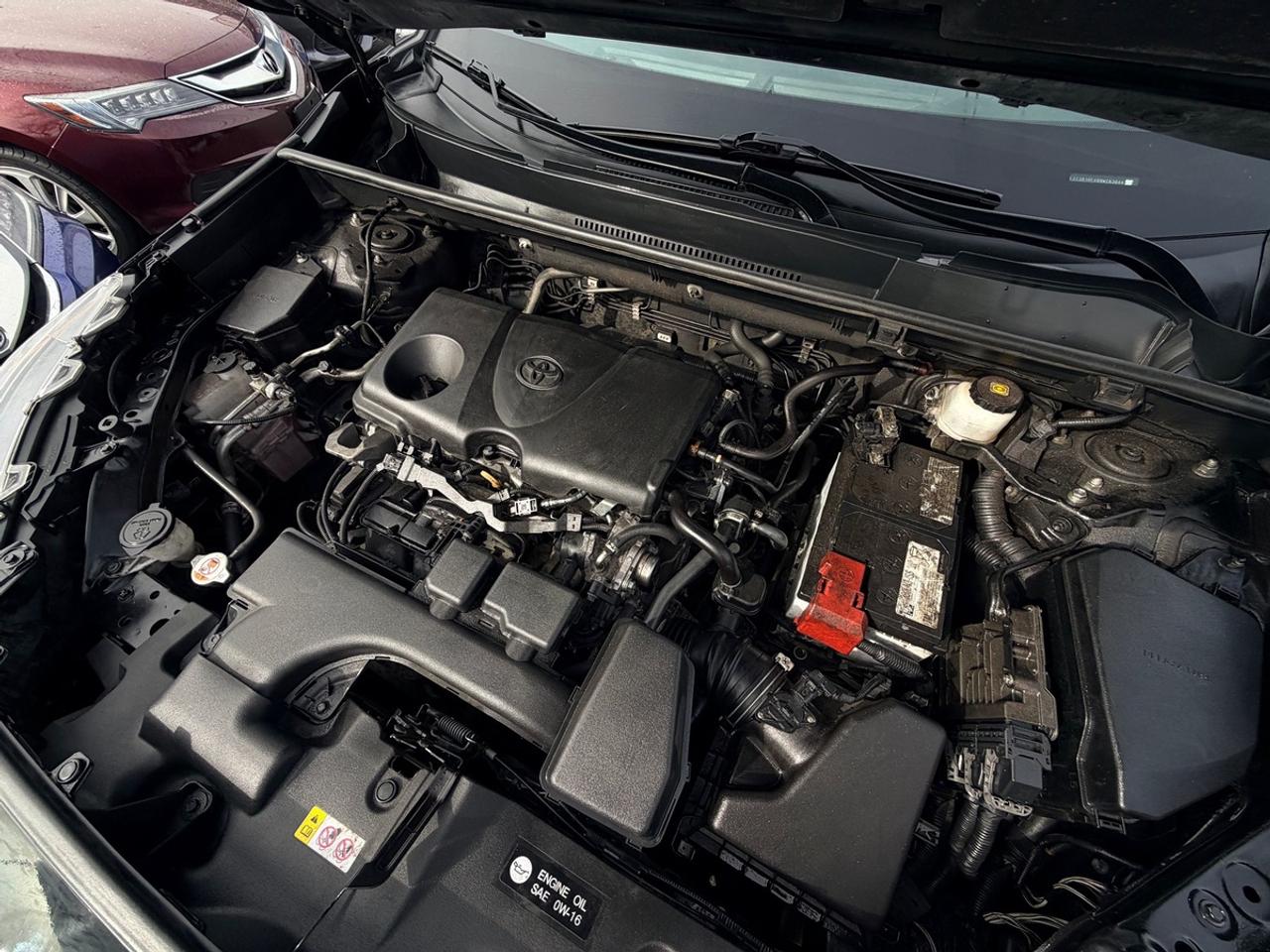 2022 Toyota RAV4 LE Photo