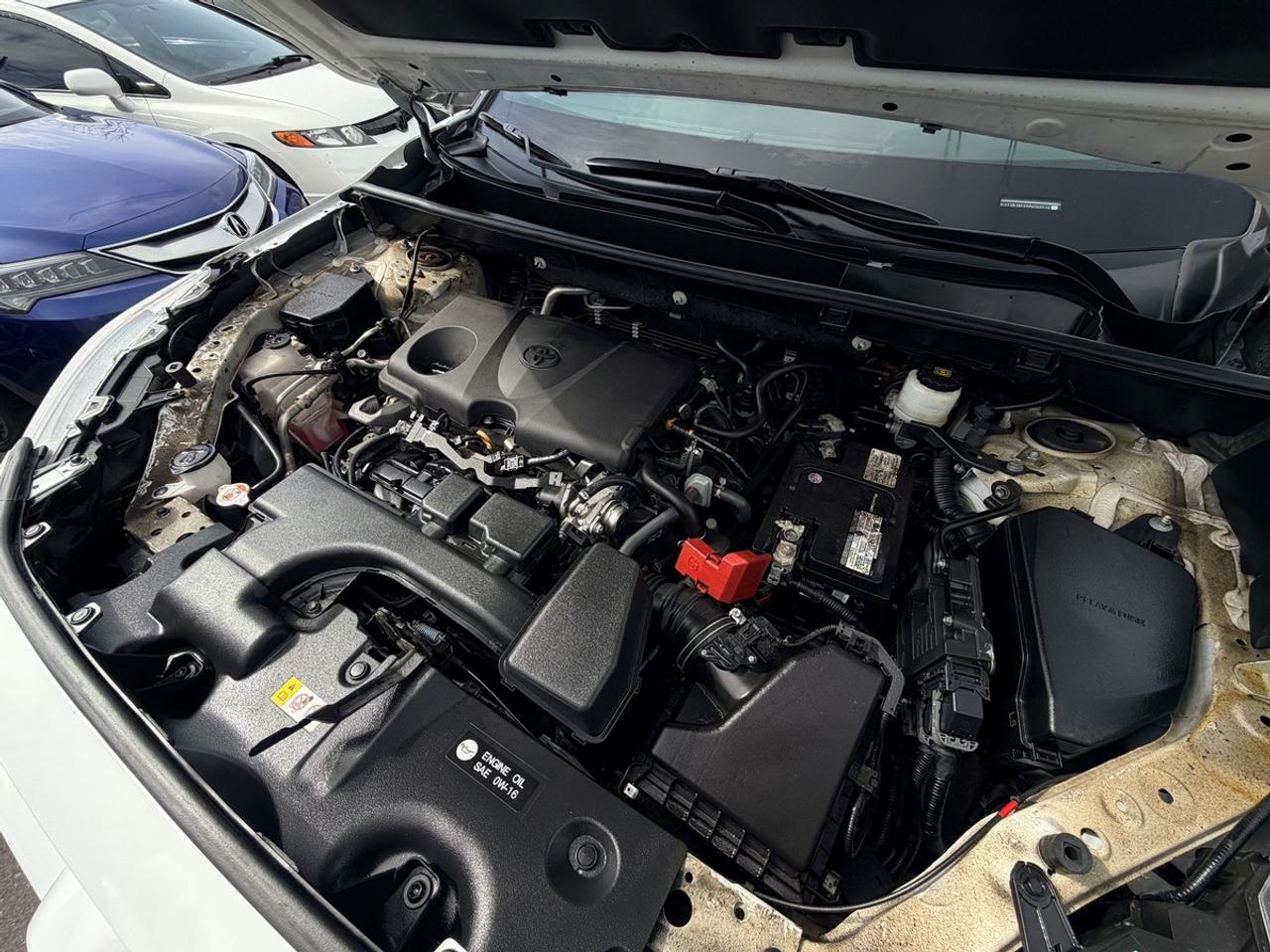 2023 Toyota RAV4 LE Photo