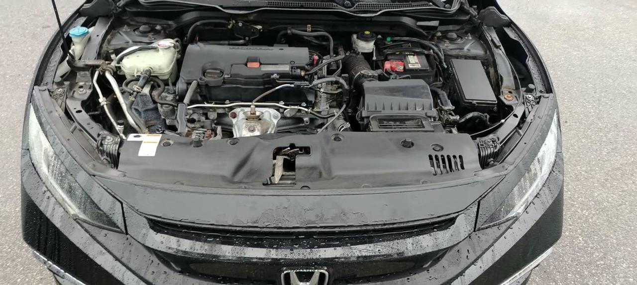 2019 Honda Civic LX Photo
