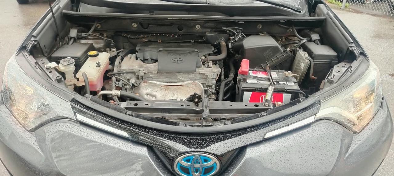 2018 Toyota RAV4 LE Photo