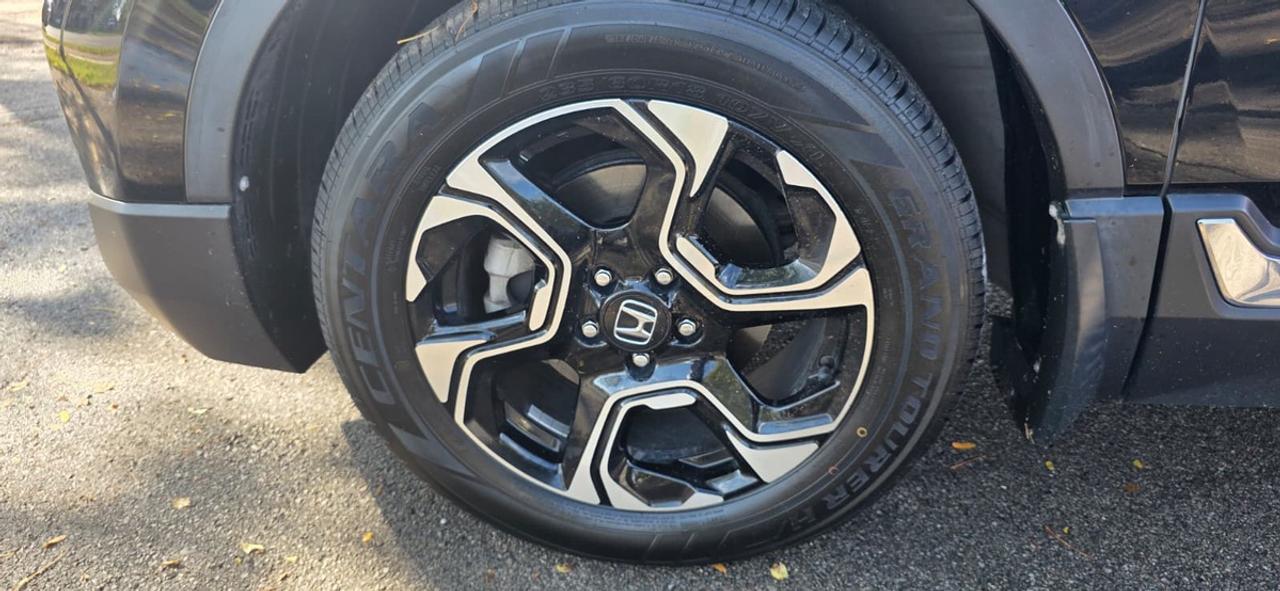 2019 Honda CR-V  Photo