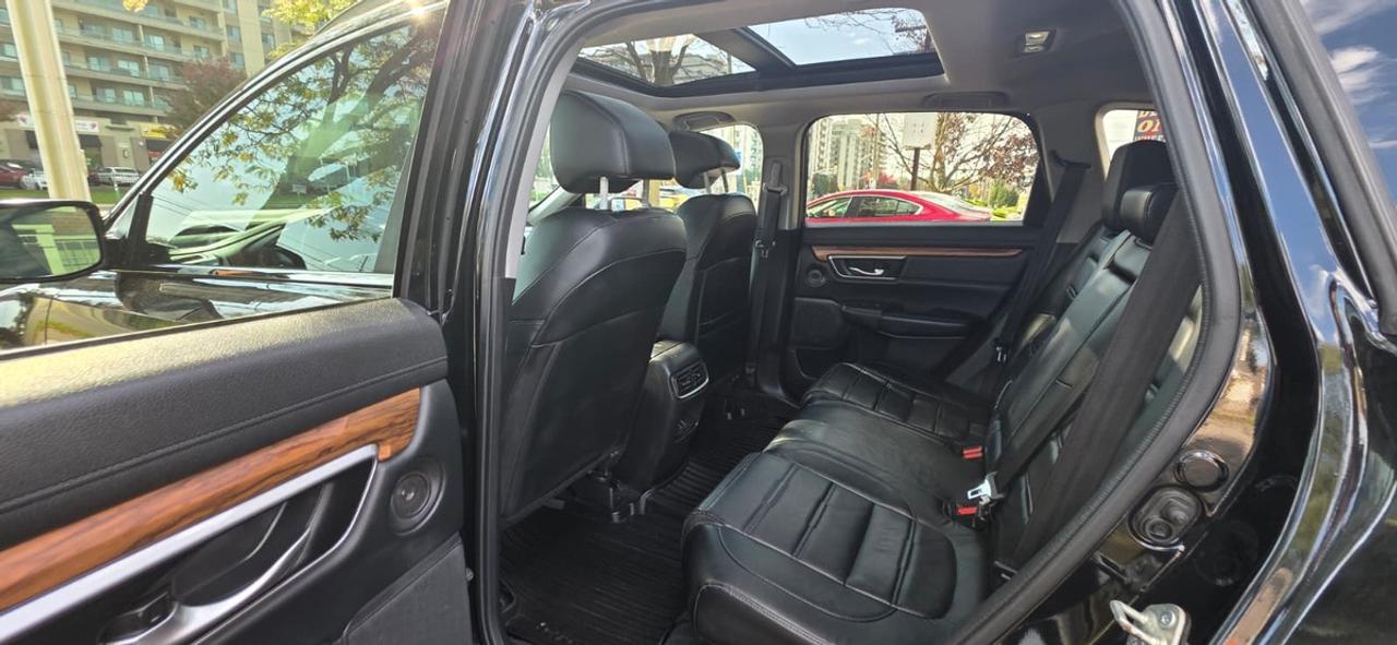2019 Honda CR-V  Photo
