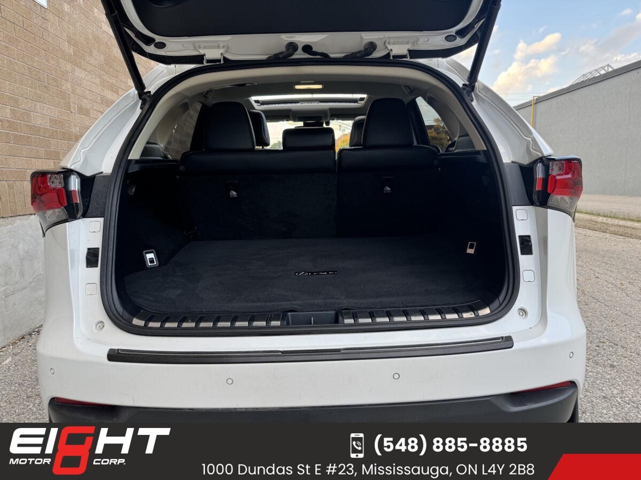 2015 Lexus NX300 HYBRID Executive AWD Photo