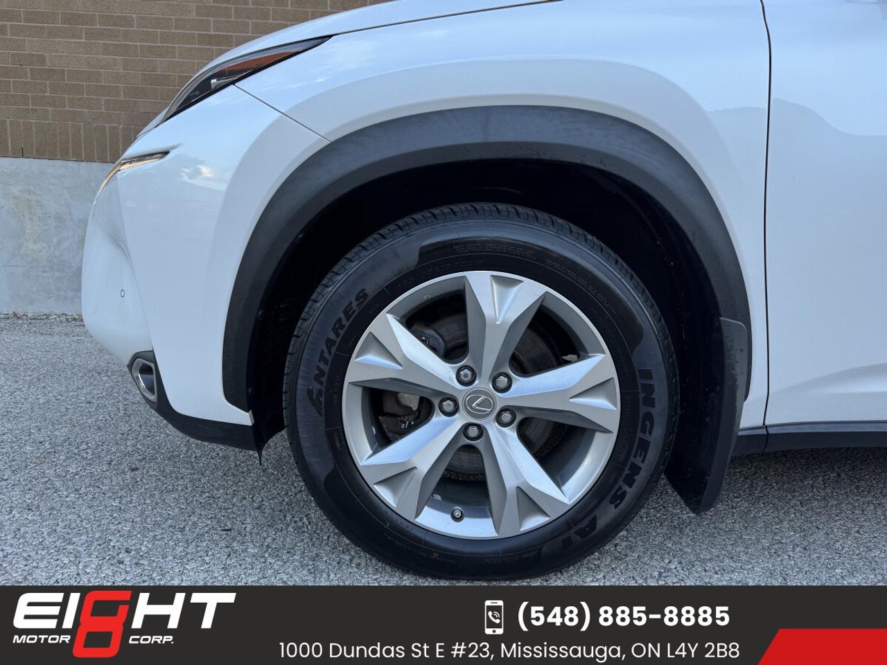 2015 Lexus NX300 HYBRID Executive AWD Photo