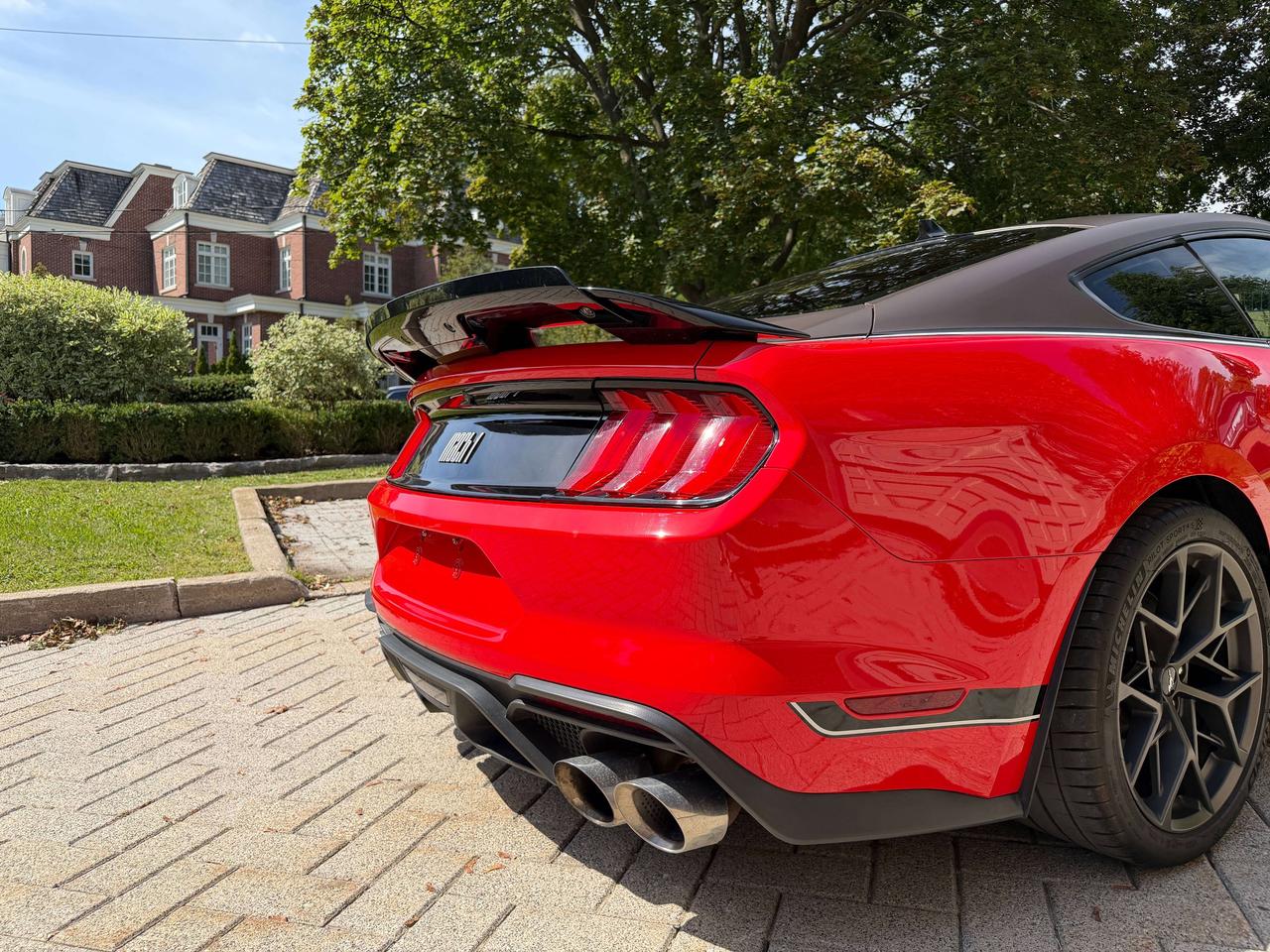 2021 Ford Mustang Mach 1 Photo4