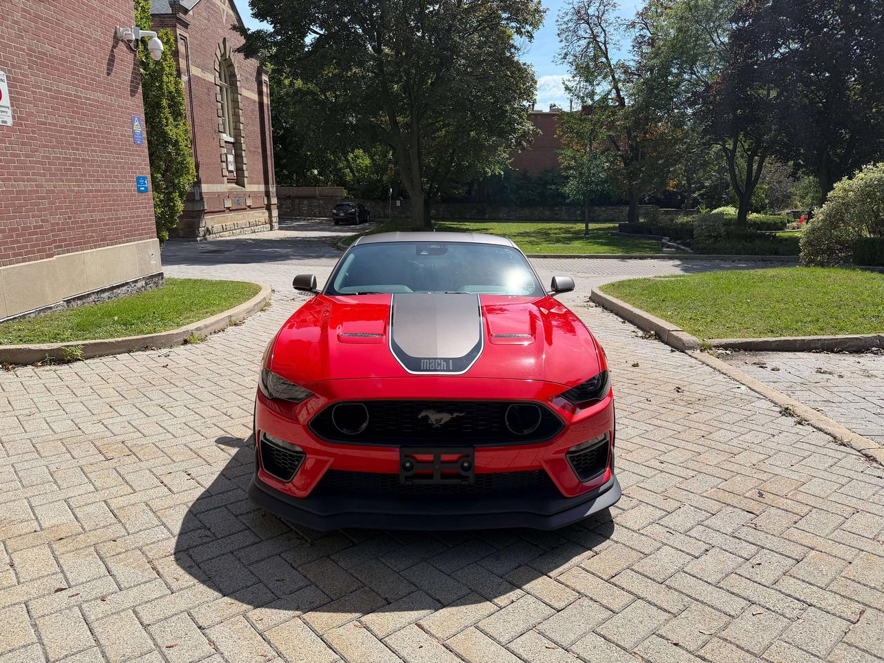 2021 Ford Mustang Mach 1 Photo