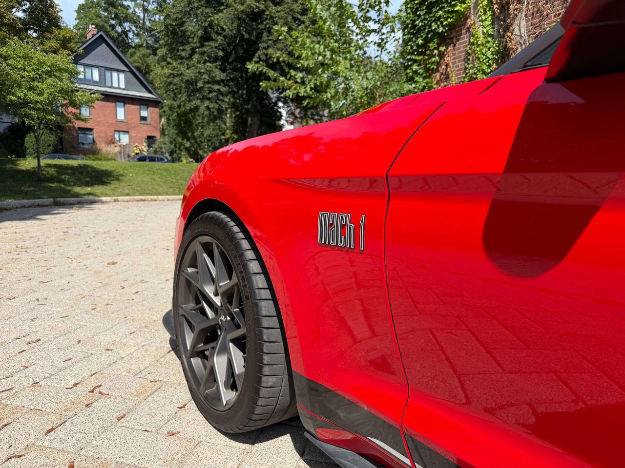 2021 Ford Mustang Mach 1 Photo