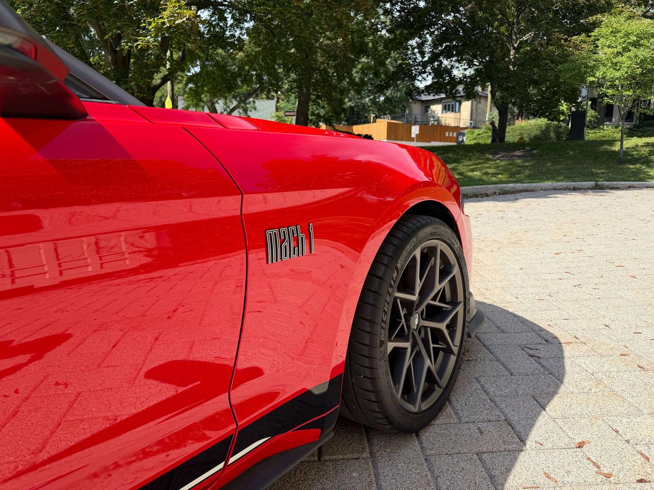 2021 Ford Mustang Mach 1 Photo