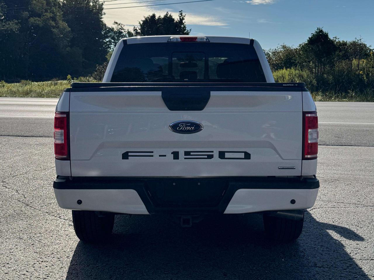 2019 Ford F-150 XLT SPORT Photo