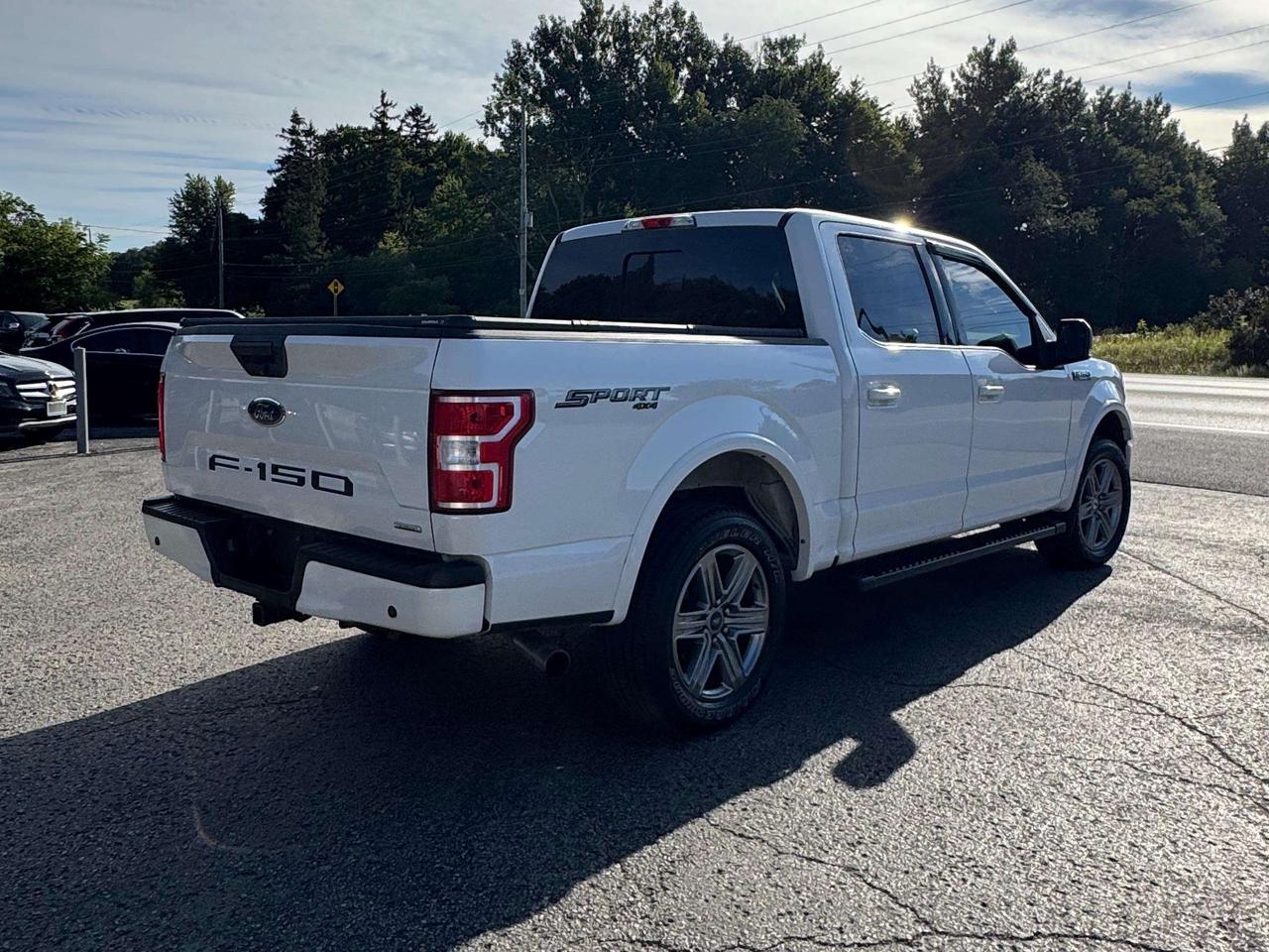 2019 Ford F-150 XLT SPORT Photo