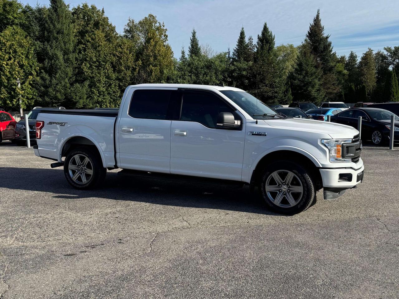 2019 Ford F-150 XLT SPORT Photo