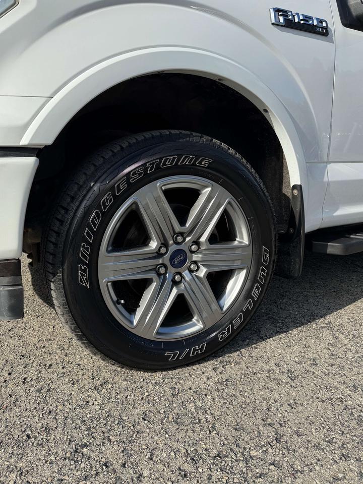 2019 Ford F-150 XLT SPORT Photo