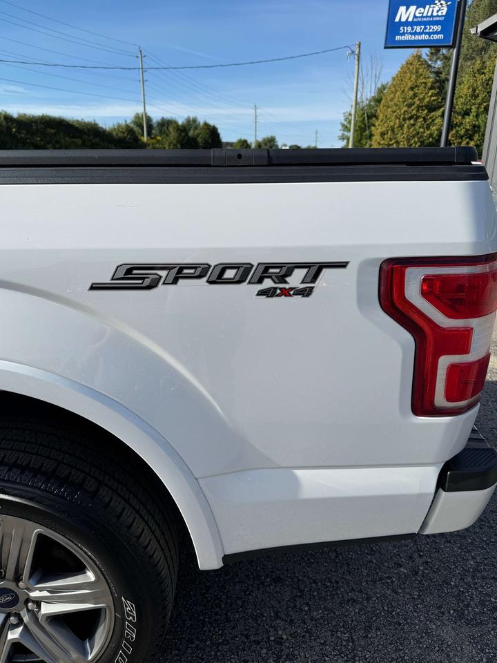 2019 Ford F-150 XLT SPORT Photo