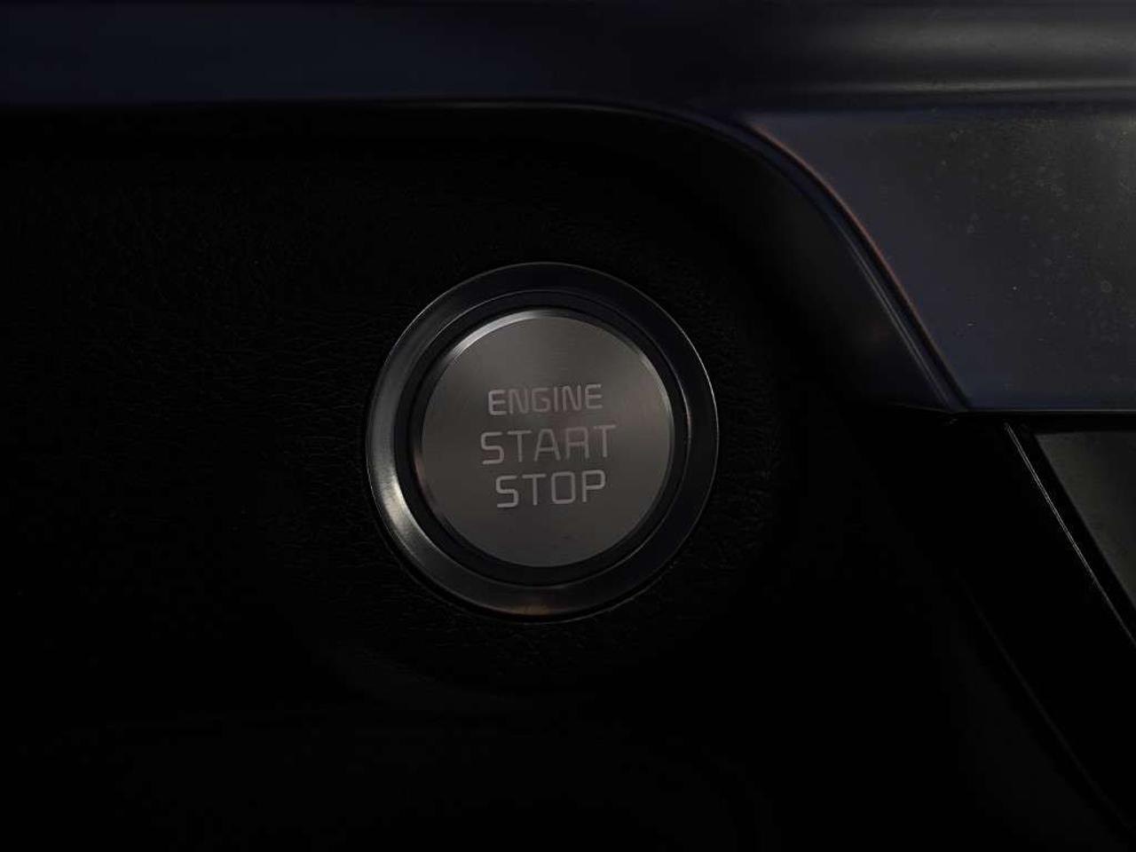 2024 Kia Telluride SX 8 Passenger One-Owner Massage Seats. Photo