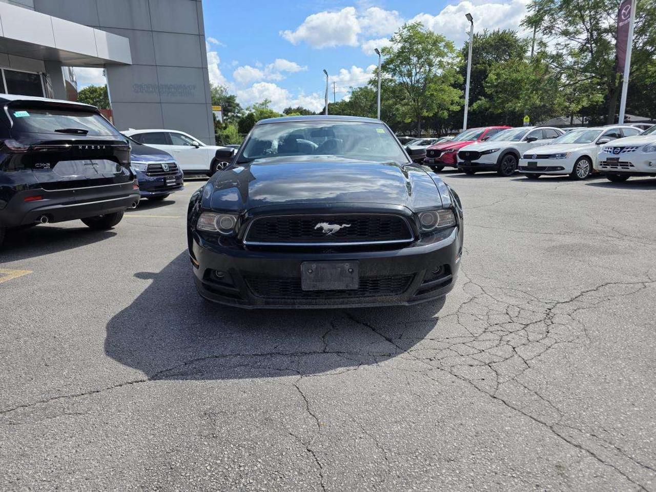2014 Ford Mustang MANUEL V6 Premium CLEAN CARFAX Photo