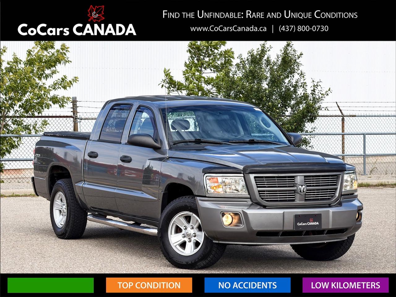 2011 Dodge Dakota SXT CREW CAB 4X4 V6 Photo