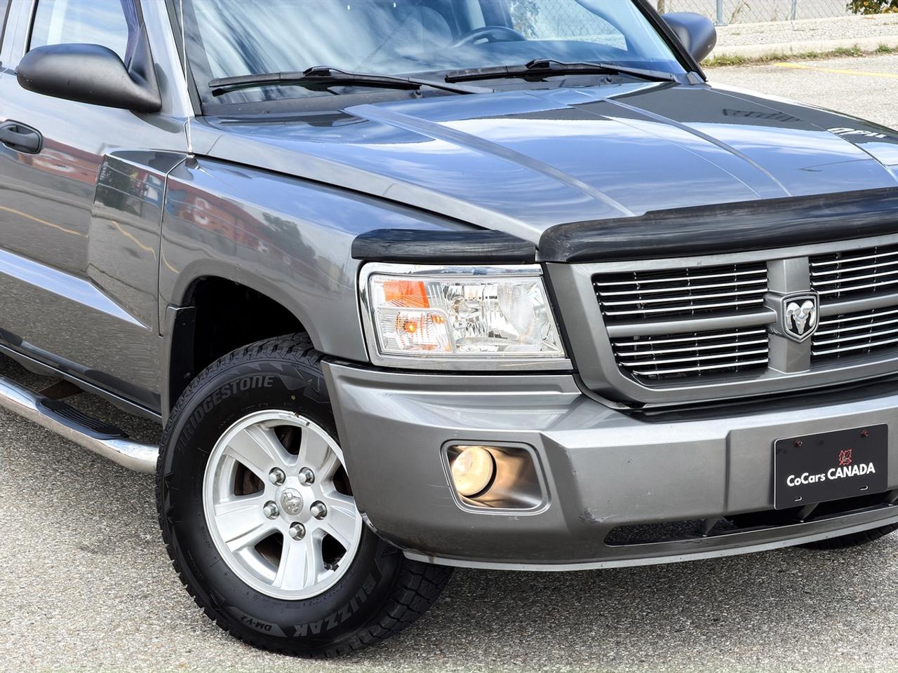 2011 Dodge Dakota SXT CREW CAB 4X4 V6 Photo