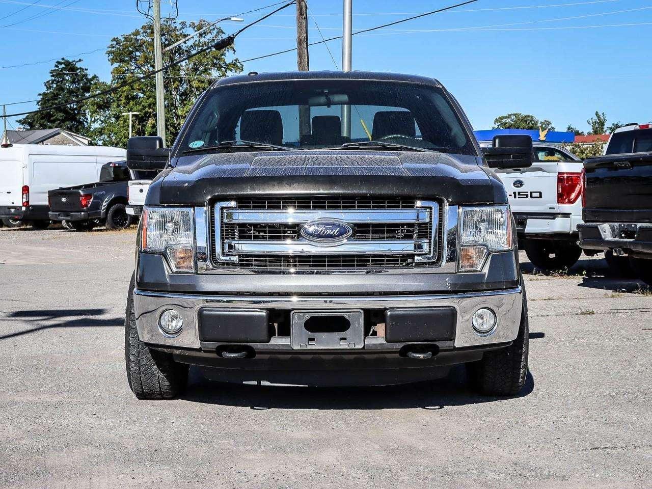 2014 Ford F-150 XLT Photo