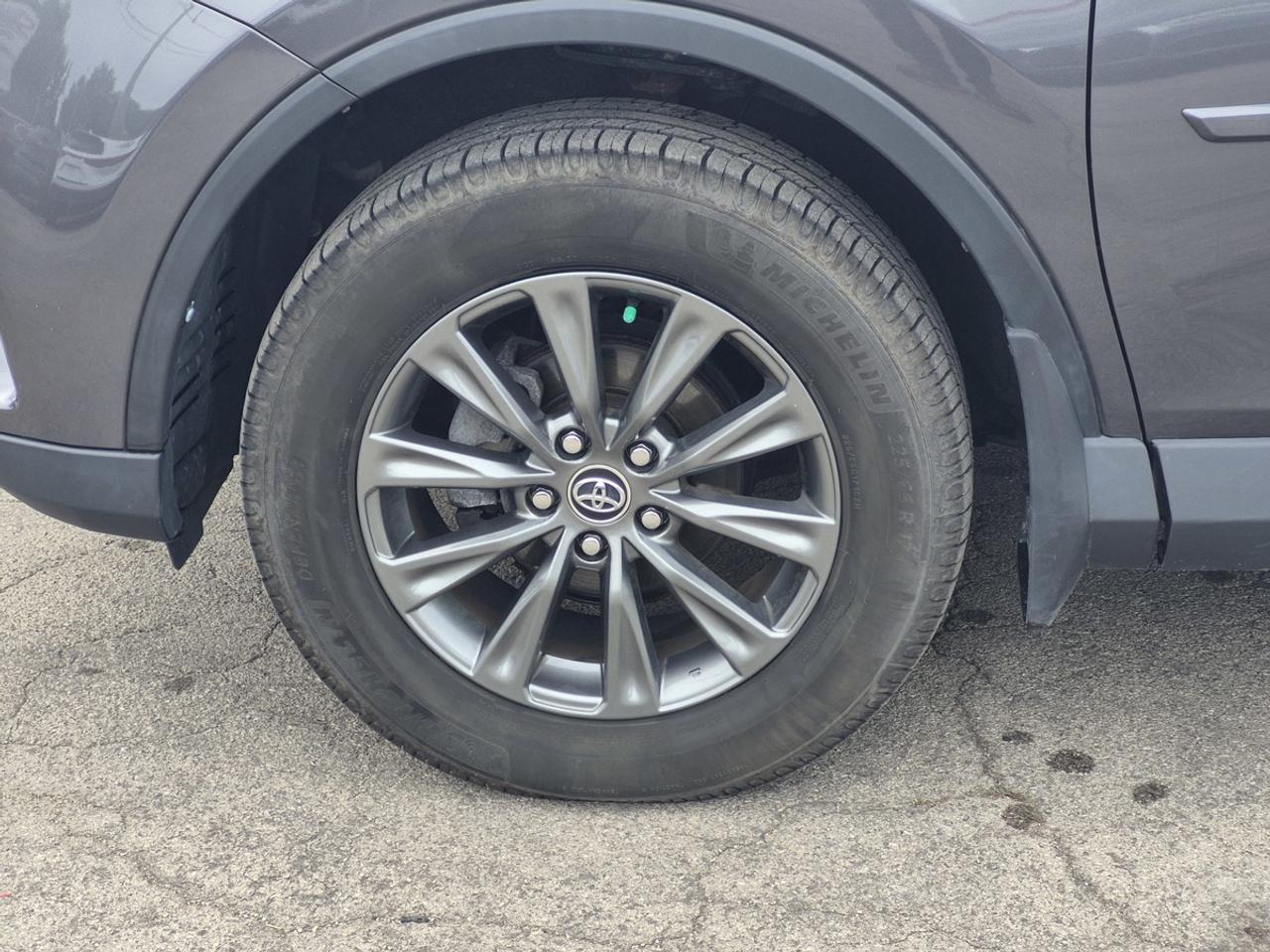 2016 Toyota RAV4 LE Photo