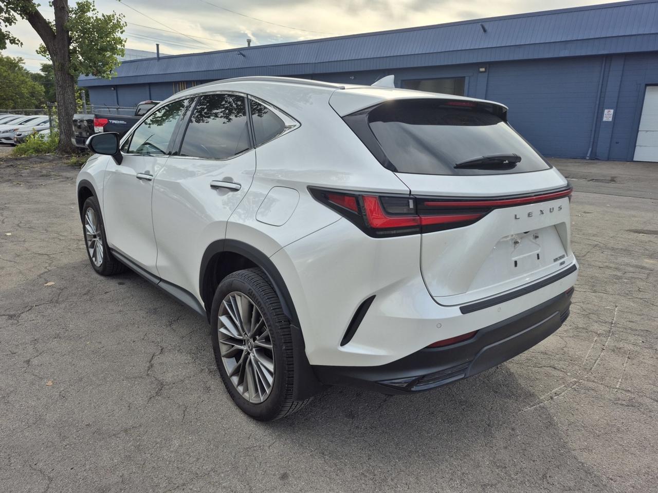 2022 Lexus NX 350 Premium Photo