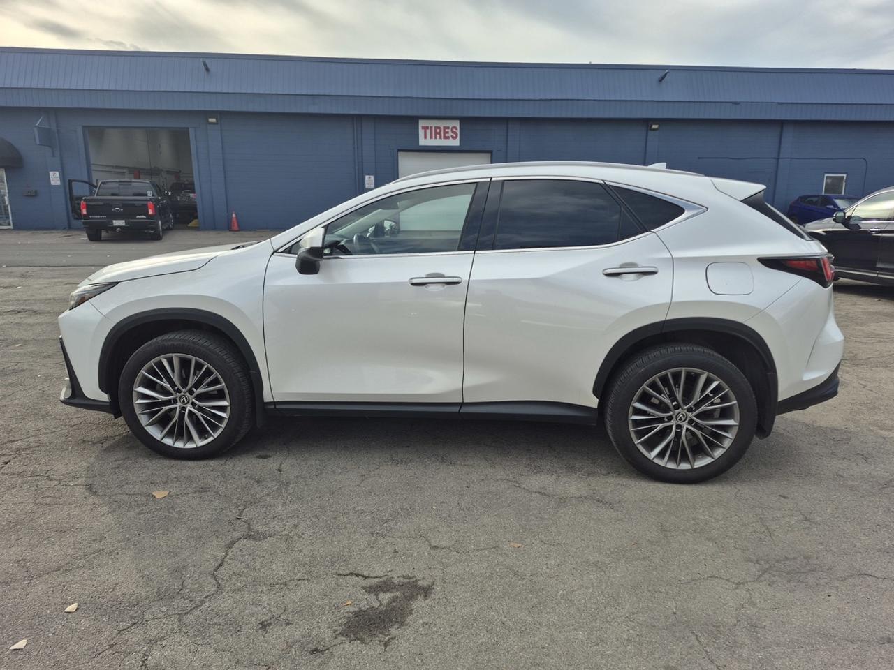 2022 Lexus NX 350 Premium Photo