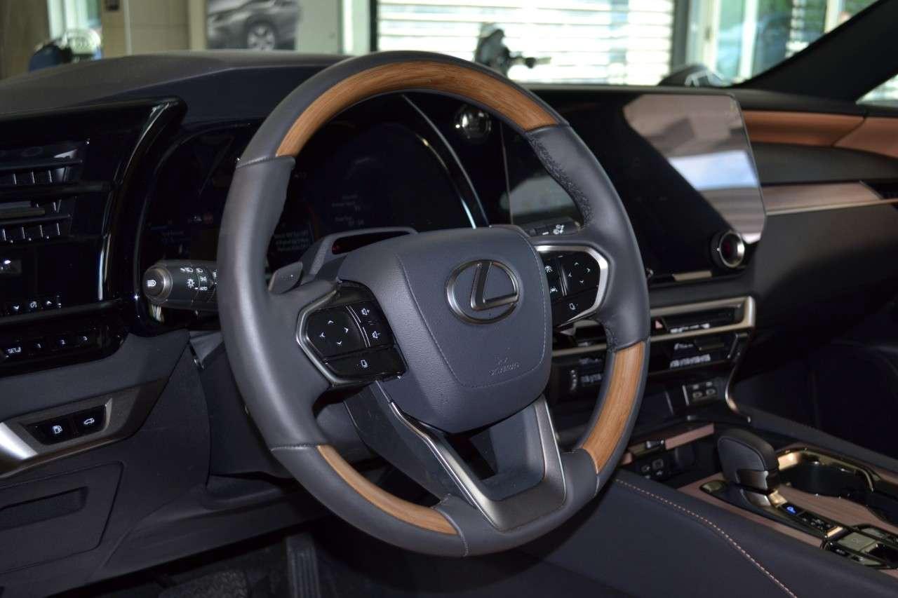 2025 Lexus RX 350 Ultra Luxury Photo