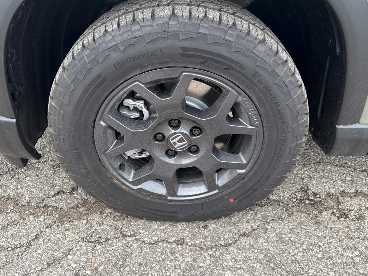 2026 Honda Pilot TrailSport 4dr All-Wheel Drive Photo