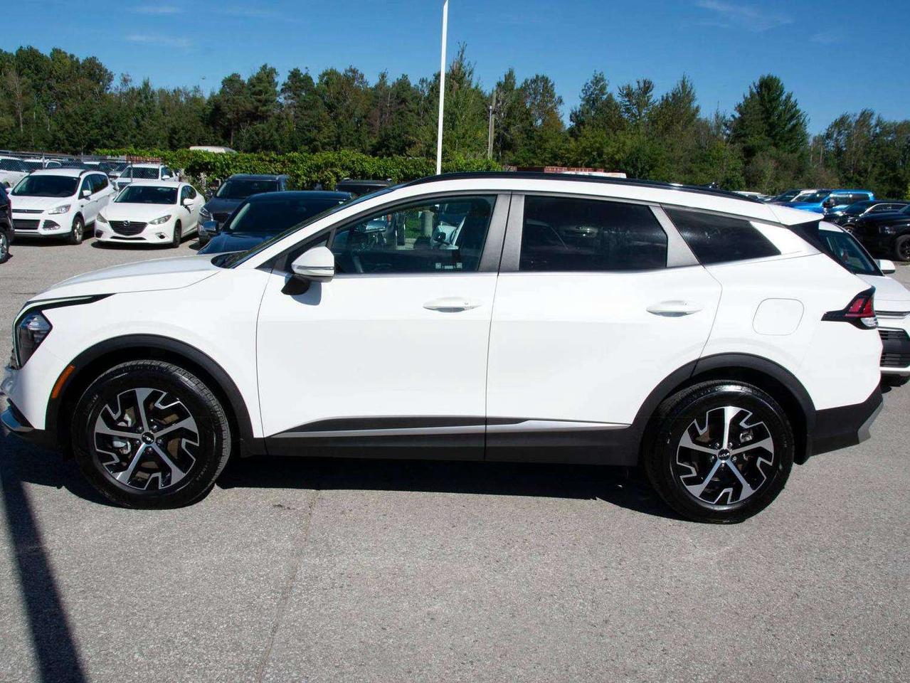 2023 Kia Sportage EX Photo5
