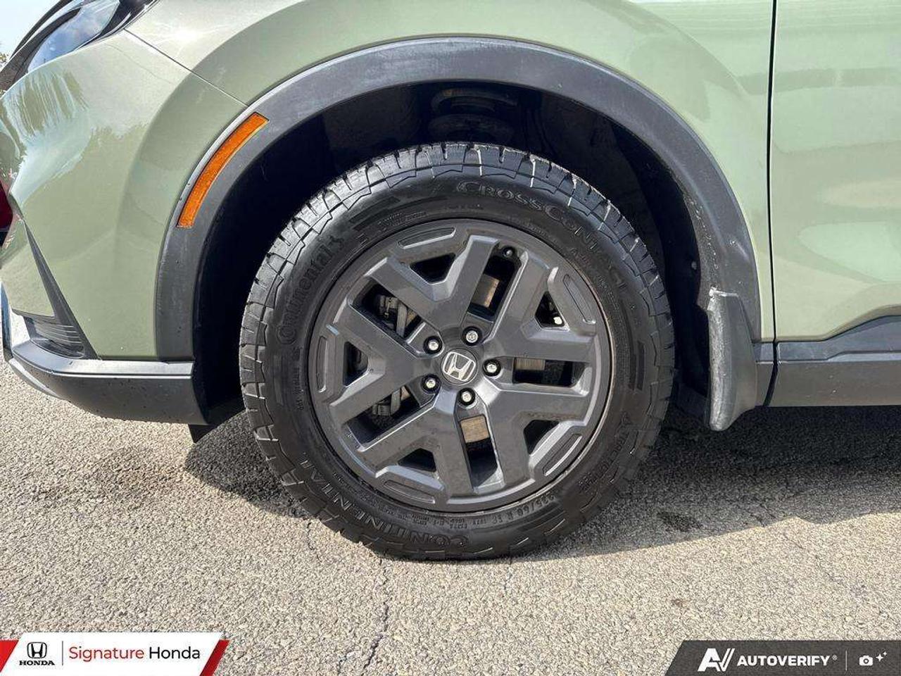 2026 Honda CR-V TrailSport Photo